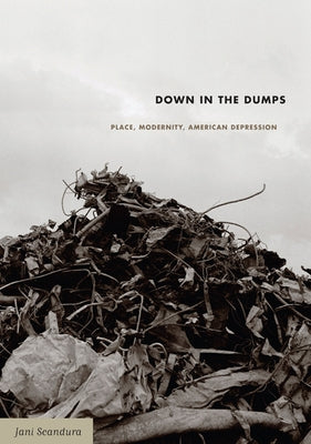 Down in the Dumps: Place, Modernity, American Depression by Scandura, Jani