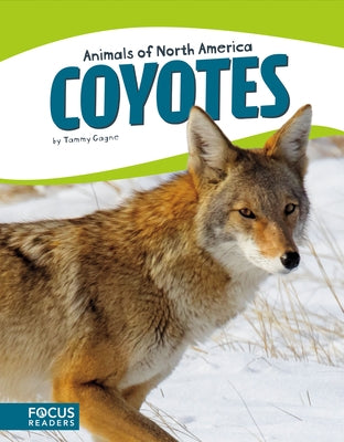 Coyotes by Gagne, Tammy