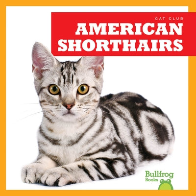 American Shorthairs by Woodson, Cameron L.