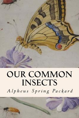Our Common Insects by Packard, Alpheus Spring