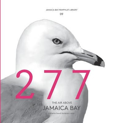 Jamaica Bay Pamphlet Library 09: The Air Above Jamaica Bay by Seavitt Nordenson, Catherine