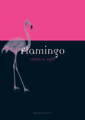 Flamingo by Kight, Caitlin R.