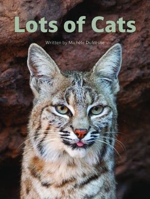 Lots of Cats by DuFresne, Michele