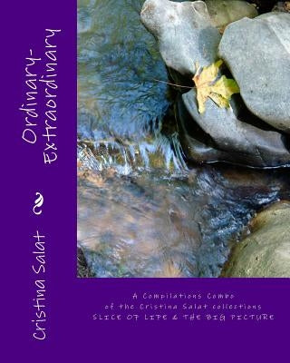 Ordinary-Extraordinary: A Compilations Combo of the Cristina Salat collections SLICE OF LIFE & THE BIG PICTURE by Salat, Cristina