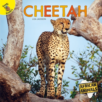 Cheetah by Jackson, Lisa