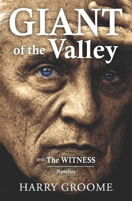 Giant of the Valley by Groome, Harry