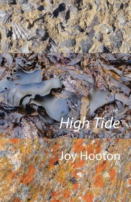 High Tide by Hooton, Joy