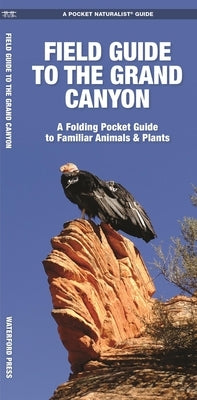 Field Guide to the Grand Canyon: A Folding Pocket Guide to Familiar Plants & Animals by Kavanagh, James