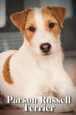 Parson Russell Terrier: Dog breed overview and guide by Pustova, Nina