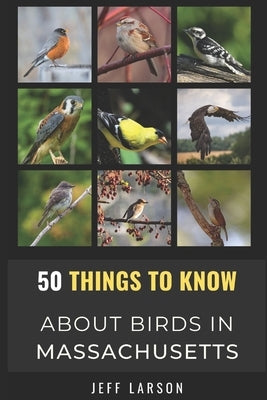 50 Things to Know About Birds in Massachusetts: Birding in the Bay State by Larson, Jeff