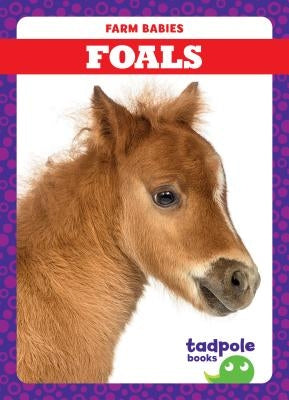 Foals by Mayerling, Tim