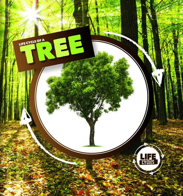 Life Cycle of a Tree by Holmes, Kirsty