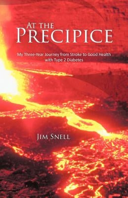 At the Precipice: My Three-Year Journey from Stroke to Good Health with Type 2 Diabetes by Snell, Jim