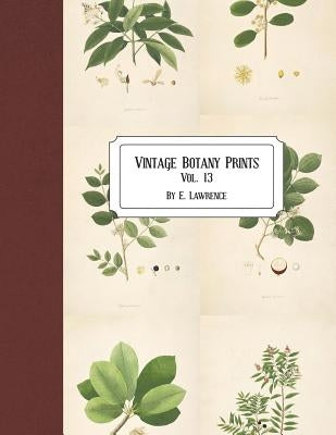 Vintage Botany Prints: Vol. 13 by Lawrence, E.