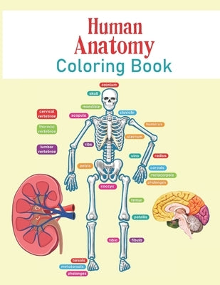Human Anatomy Coloring Book: The Human Body For Kids and Adult Gift For Your children - Bones, Muscles, Blood, Nerves, and More for Adults, College by Publisher, Doreen Jordan