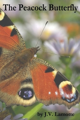 The Peacock Butterfly by Lamotte, J. V.