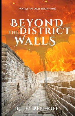 Beyond the District Walls by Benhoff, Riley