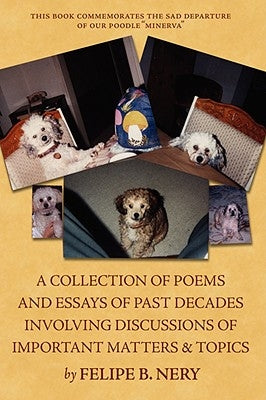 A collection of poems and essays of past decades involving discussions of important matters & topics by Nery, Felipe B.
