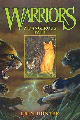 A Dangerous Path by Hunter, Erin