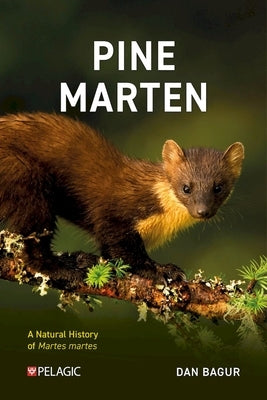 Pine Marten: The Secret Life of Martes Martes by Bagur, Dan