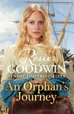 An Orphan's Journey by Goodwin, Rosie