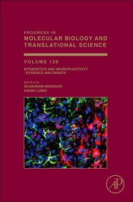 Epigenetics and Neuroplasticity - Evidence and Debate: Volume 128 by Akbarian, Schahram