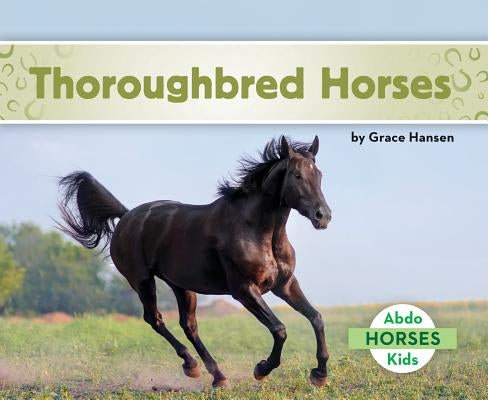 Thoroughbred Horses by Hansen, Grace