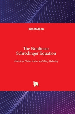 The Nonlinear Schrödinger Equation by Bakırtaş, İlkay