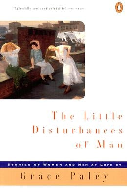 The Little Disturbances of Man by Paley, Grace