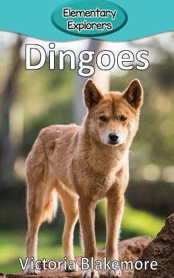 Dingoes by Blakemore, Victoria