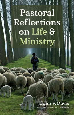 Pastoral Reflections on Life and Ministry by Davis, John P.