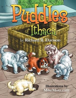 Puddles of Ithaca by Davison, Richard R.
