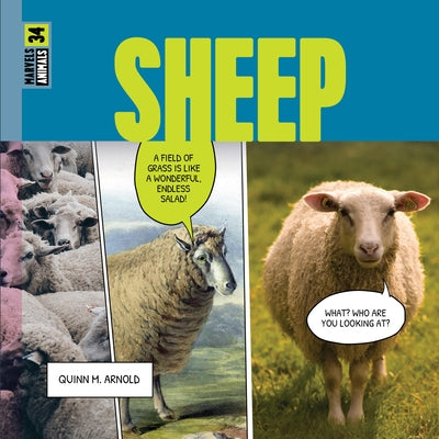 Sheep by Arnold, Quinn M.