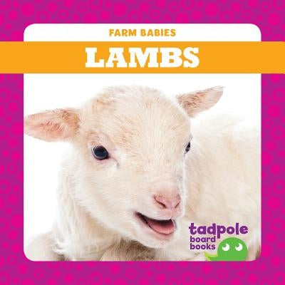 Lambs by Mayerling, Tim