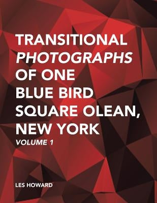 Transitional Photographs of One Blue Bird Square Olean, New York: Volume 1 by Howard, Les