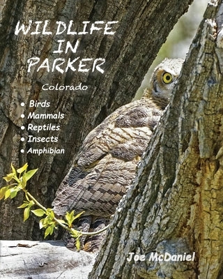 Wildlife In Parker: Colorado by McDaniel, Joe