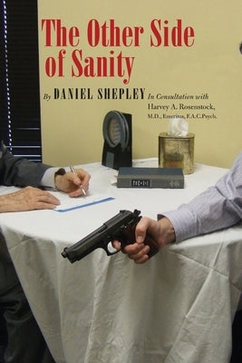 The Other Side of Sanity by Shepley, Daniel
