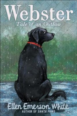 Webster: Tale of an Outlaw by White, Ellen Emerson