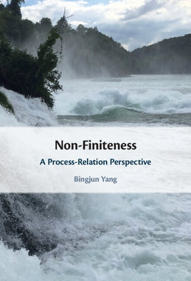 Non-Finiteness: A Process-Relation Perspective by Yang, Bingjun