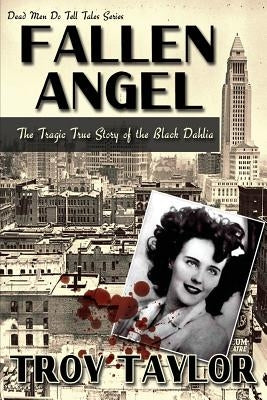 Fallen Angel by Taylor, Troy