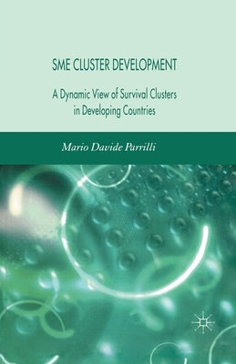 Sme Cluster Development: A Dynamic View of Survival Clusters in Developing Countries by Parrilli, M.