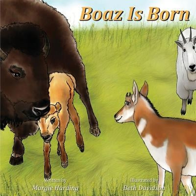 Boaz Is Born by Harding, Margie