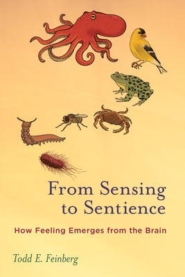 From Sensing to Sentience: How Feeling Emerges from the Brain by Feinberg, Todd E.