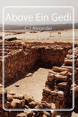 Above Ein Gedi by Alexander, C. J.