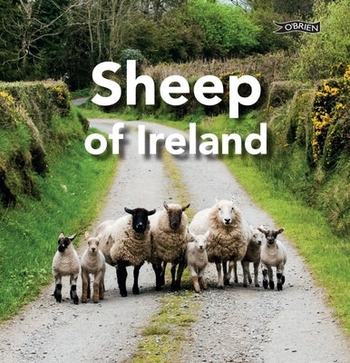 Sheep of Ireland by The O'Brien Press