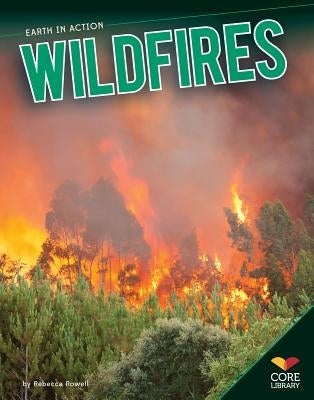 Wildfires by Rowell, Rebecca