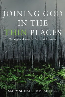 Joining God in the Thin Places: Theologies Active in Natural Disaster by Blaufuss, Mary Schaller