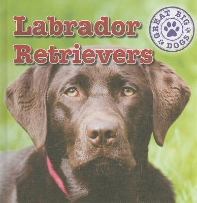Labrador Retrievers by Nelson, Maria