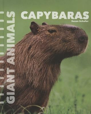 Capybaras by Schafer, Susan