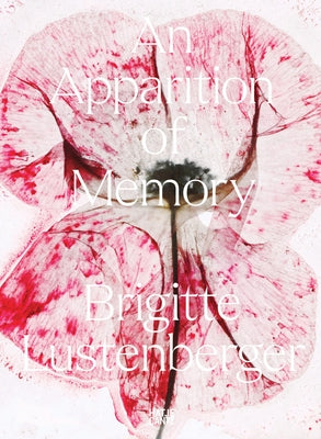 Brigitte Lustenberger: An Apparition of Memory by Lustenberger, Brigitte